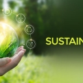 Sustainability: India leads the way