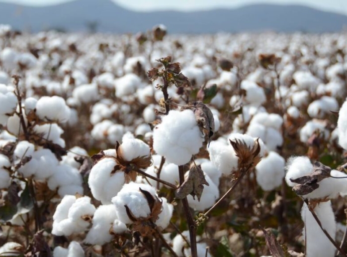 CottonIndustry